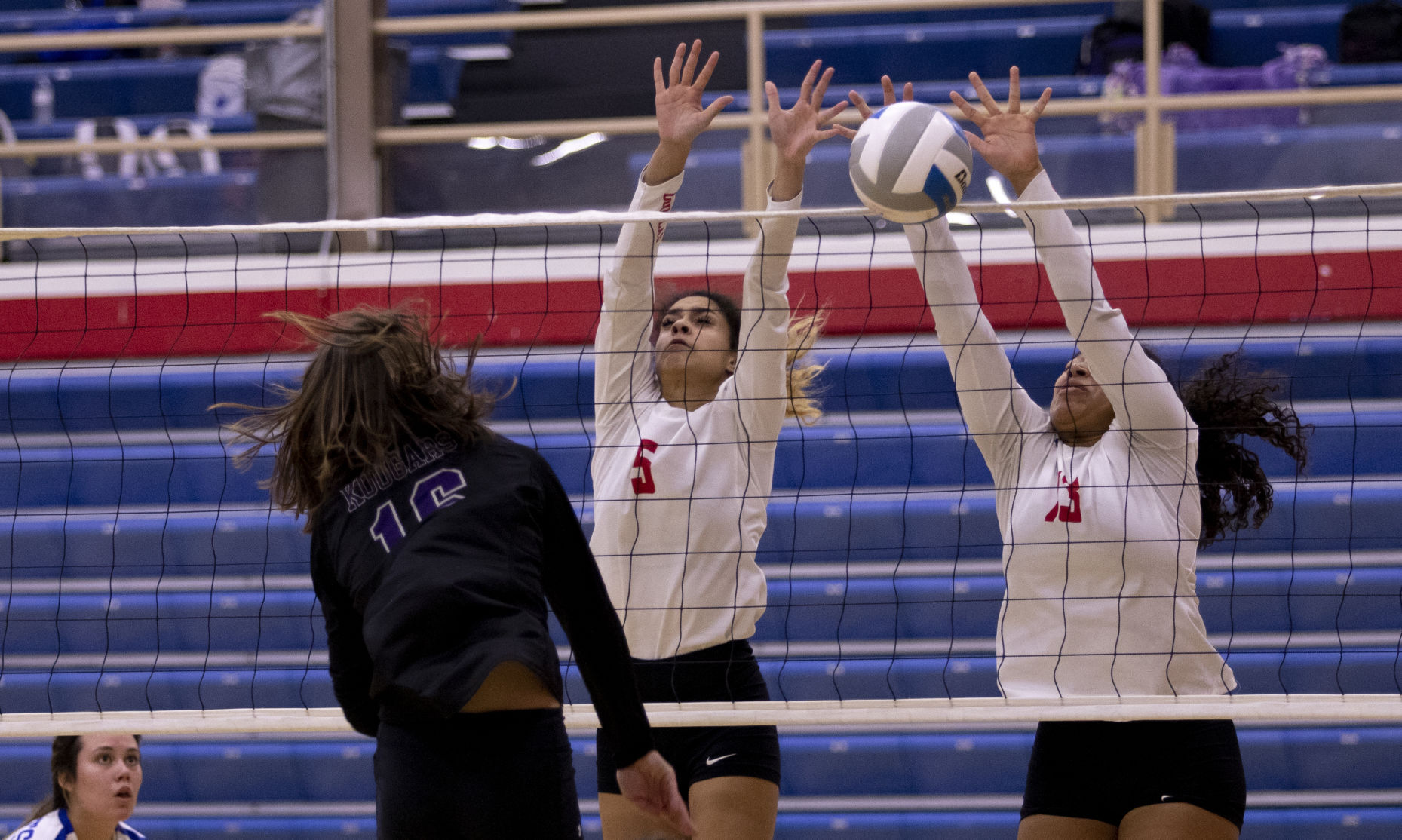 Volleyball